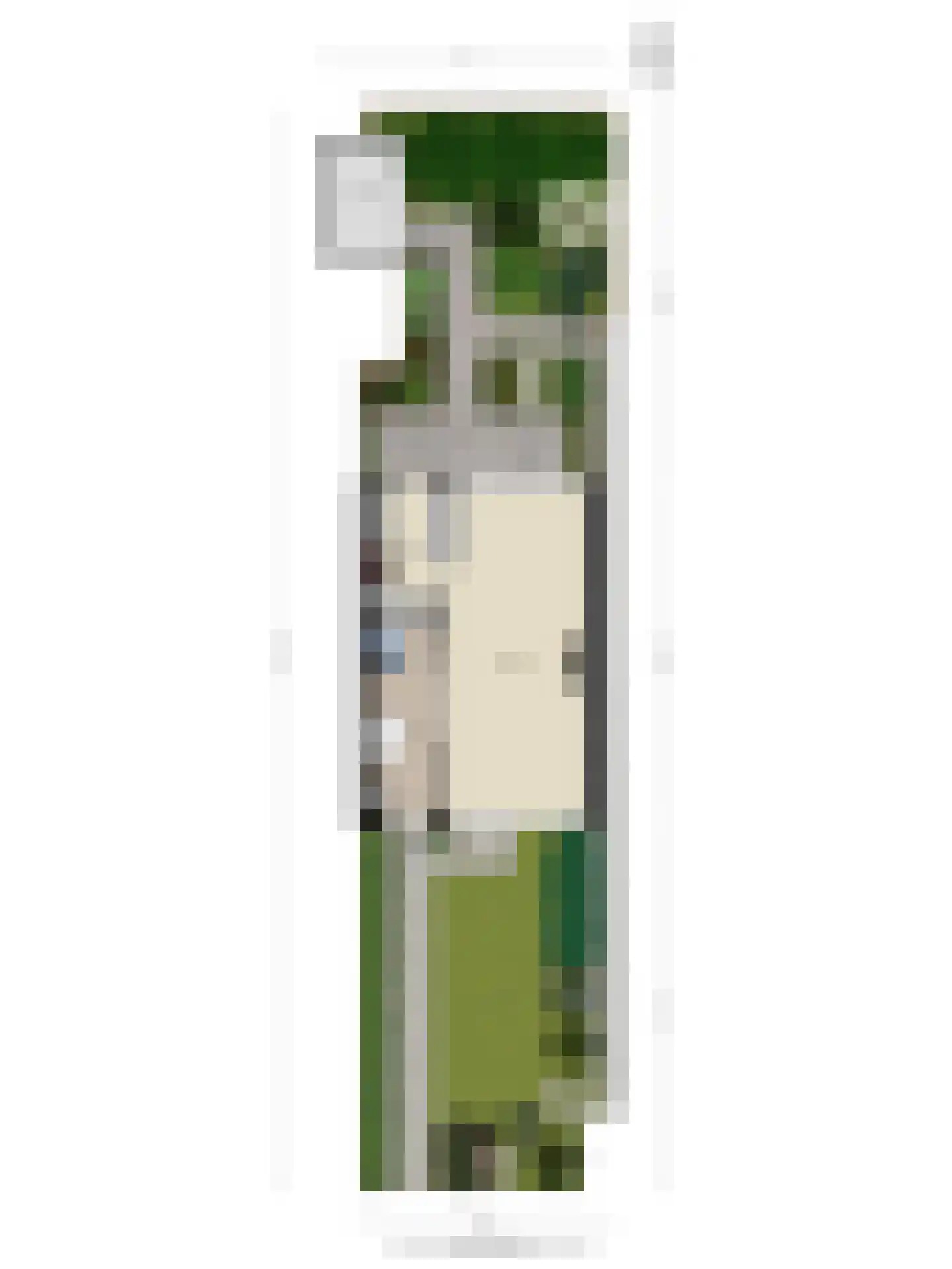 Charlotteplaats 32 Zoetermeer thumbnail 36