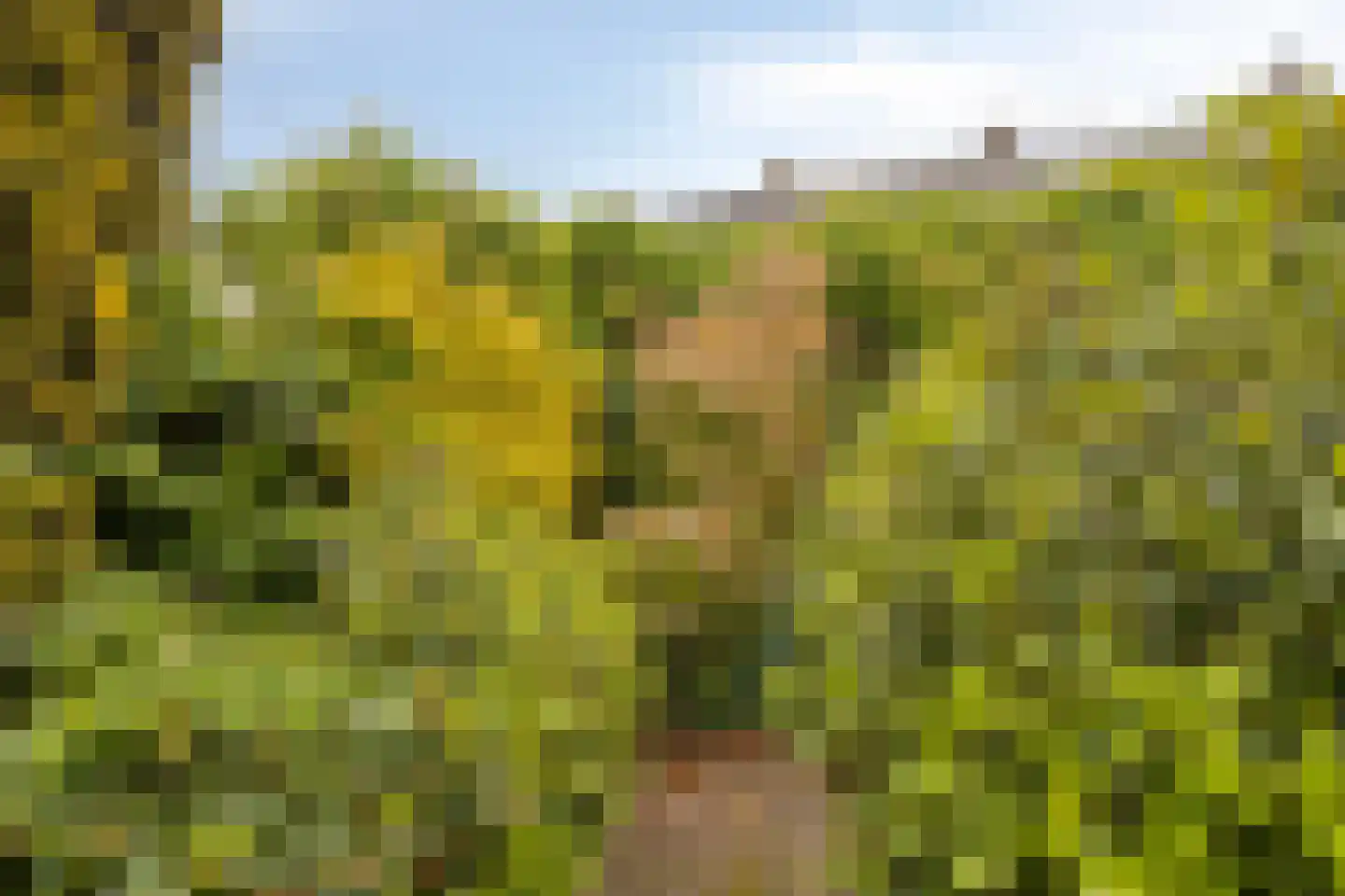 Charlotteplaats 32 Zoetermeer thumbnail 5