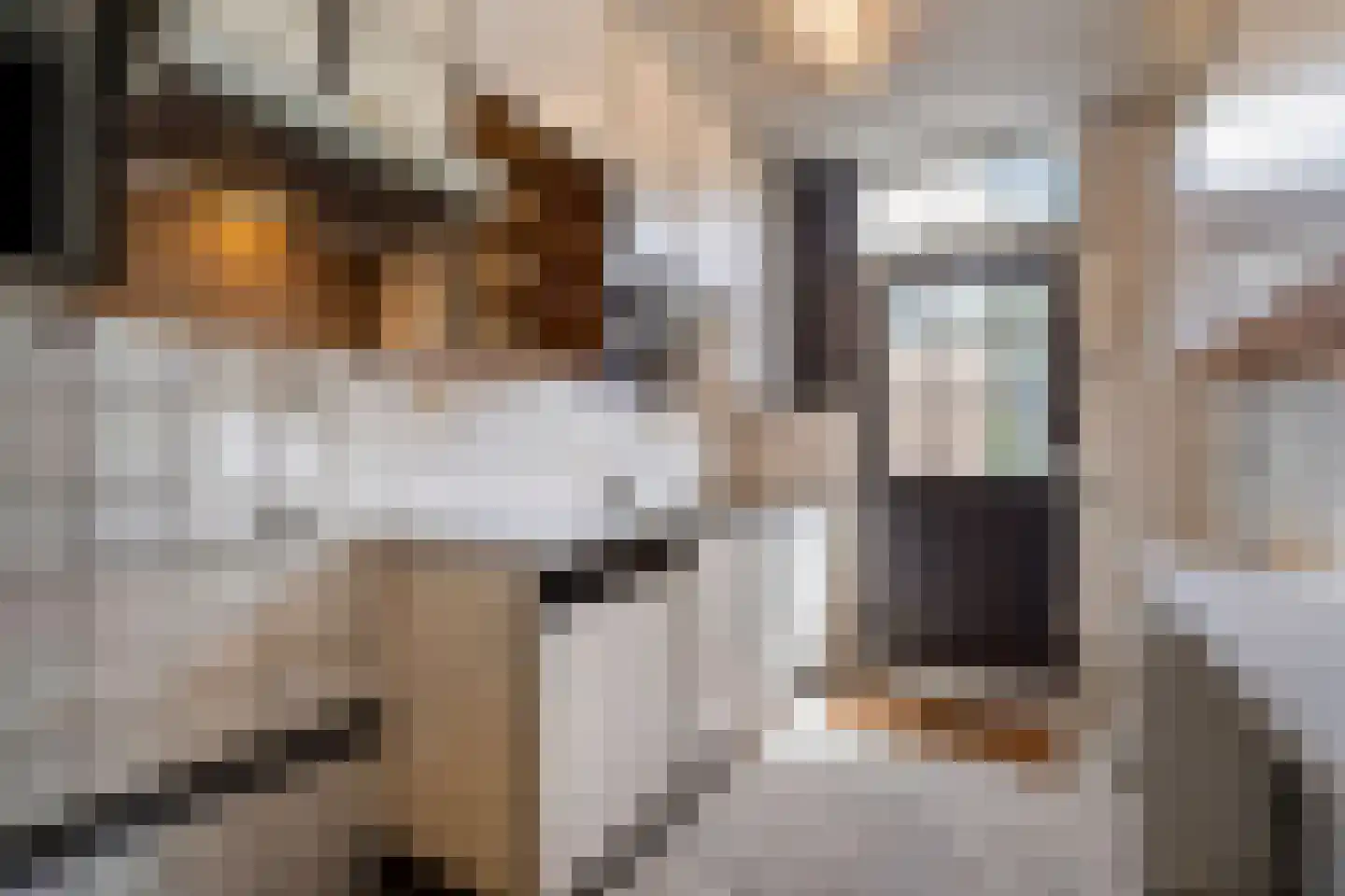 Charlotteplaats 9 Zoetermeer thumbnail 13