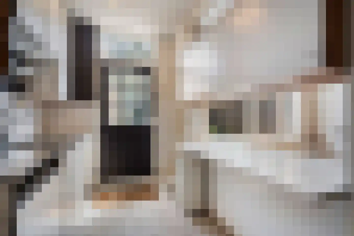 Charlotteplaats 9 Zoetermeer thumbnail 14