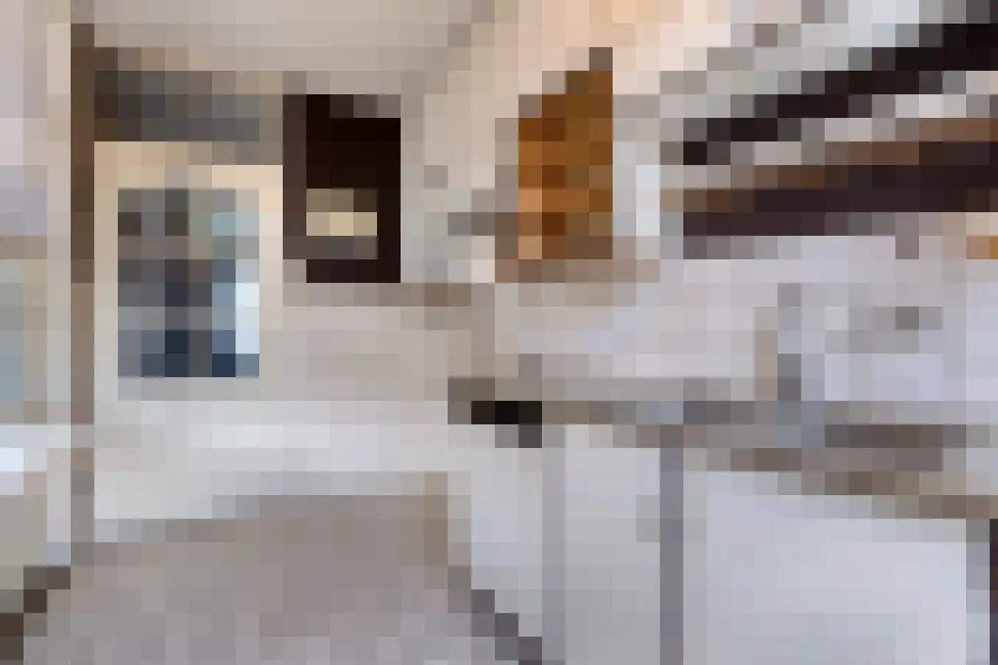 Charlotteplaats 9 Zoetermeer thumbnail 15