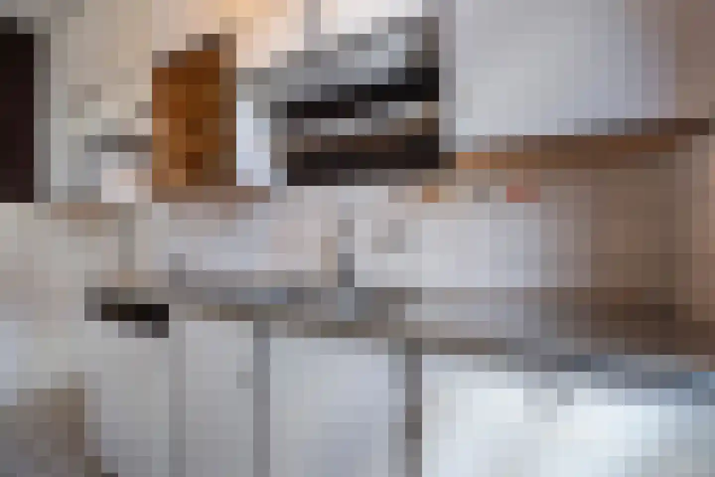 Charlotteplaats 9 Zoetermeer thumbnail 16