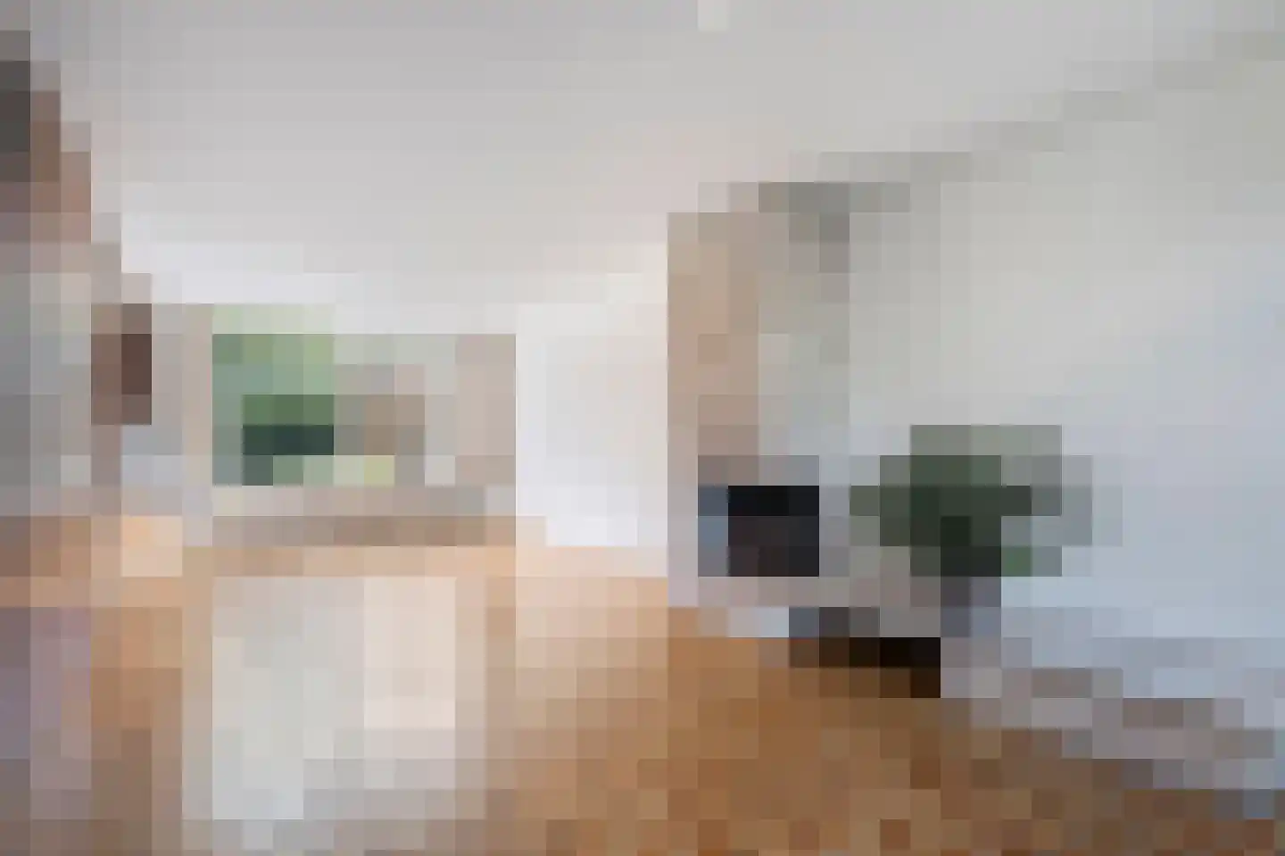 Charlotteplaats 9 Zoetermeer thumbnail 9