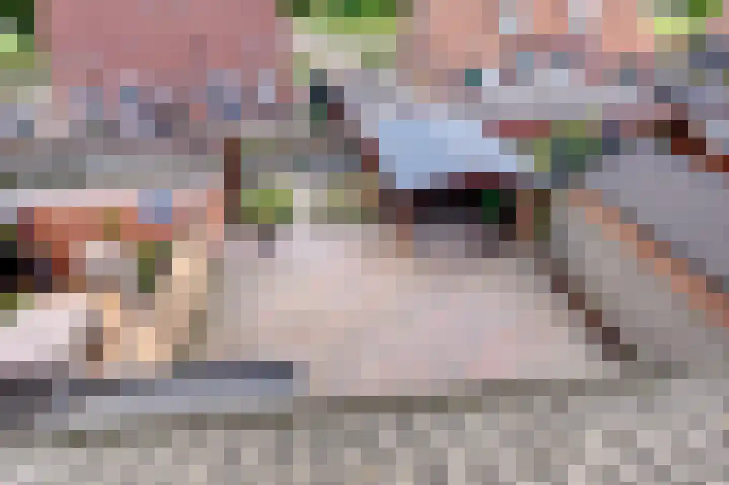 Charlottestraat 47 Bad Nieuweschans thumbnail 10