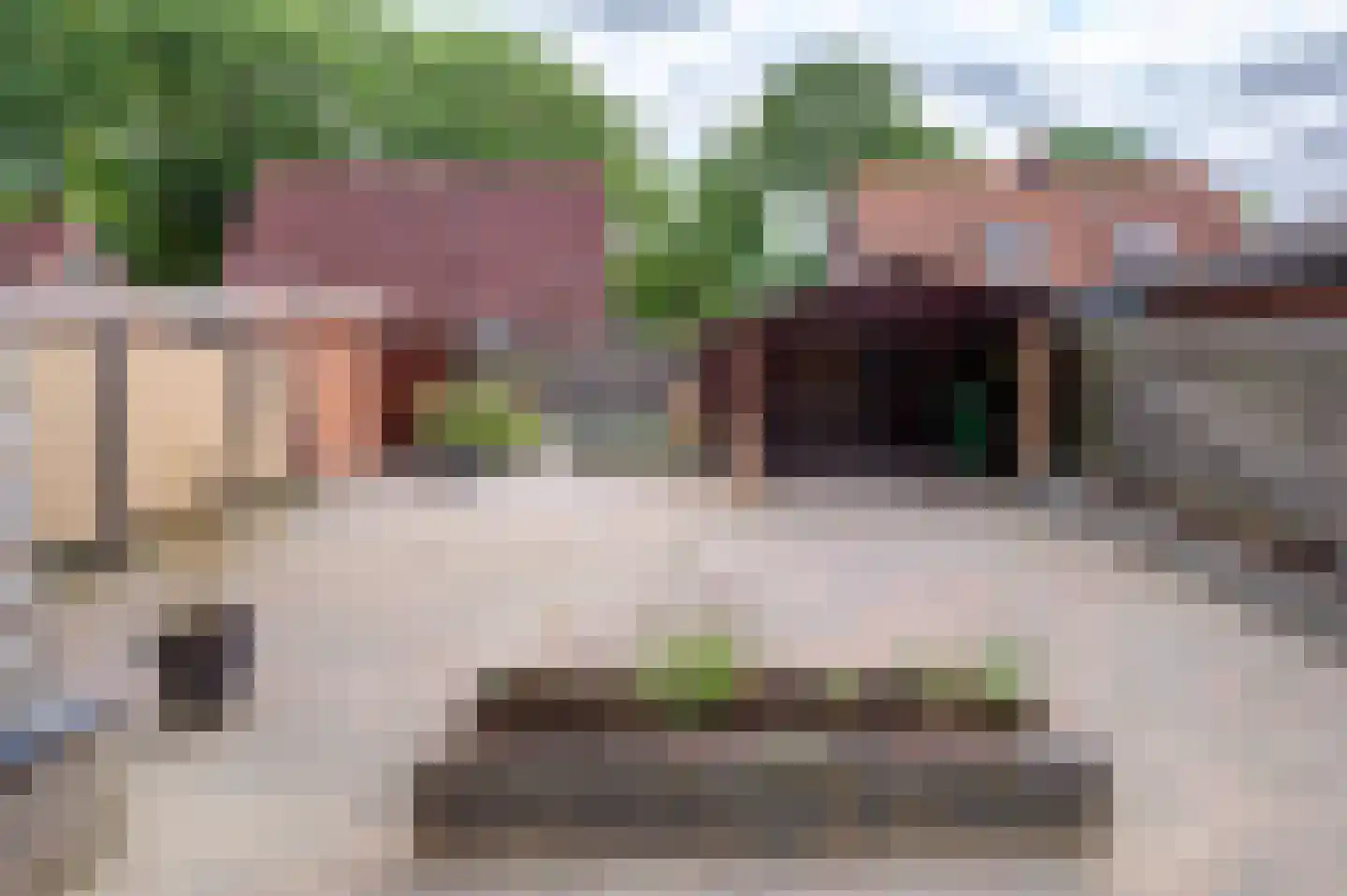 Charlottestraat 47 Bad Nieuweschans thumbnail 7