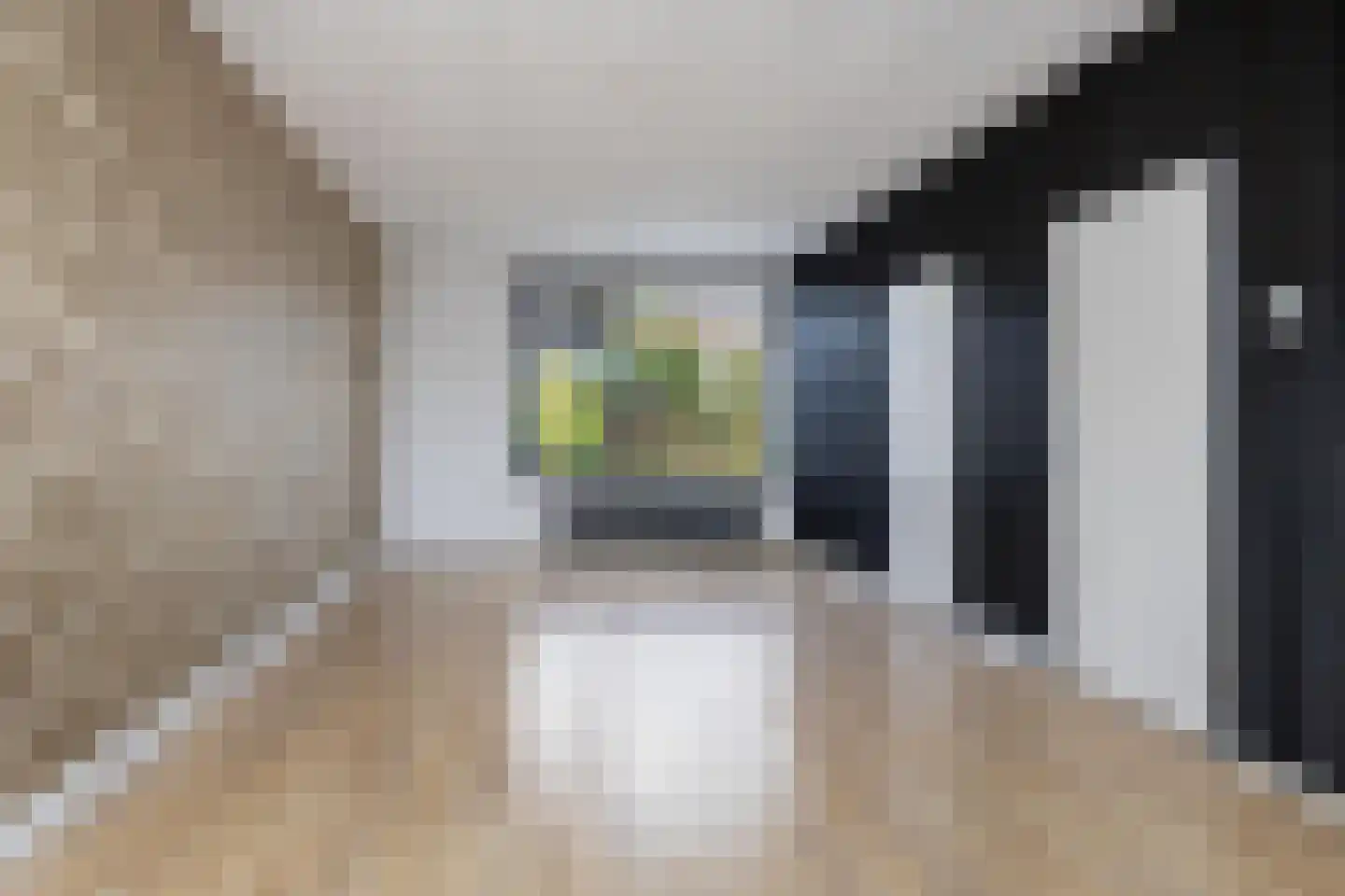 Charlottestraat 7 Bad Nieuweschans thumbnail 7