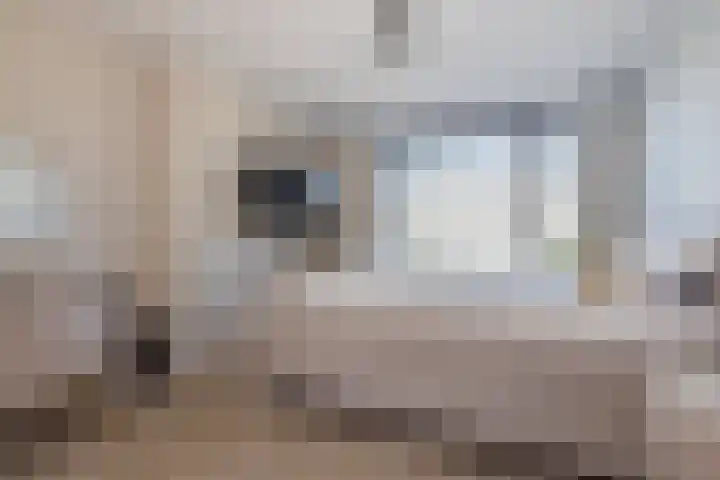 Charpentierstraat 11 Boxtel thumbnail 23