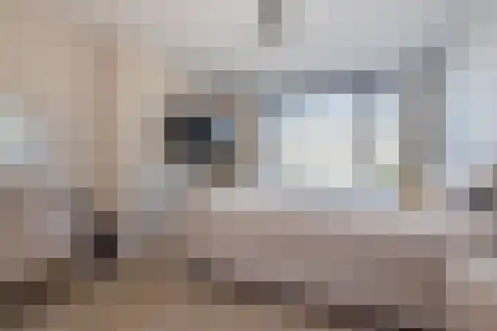 Charpentierstraat 11 Boxtel thumbnail 4