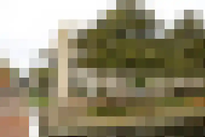 Charta 77-Vaart 152 Haarlem thumbnail 22
