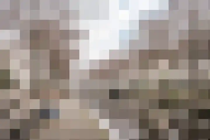 Charta 77-Vaart 164 Haarlem thumbnail 33