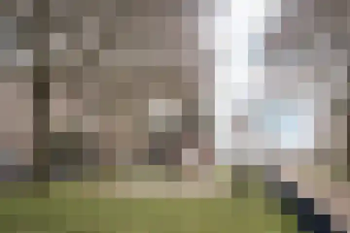 Charta 77-Vaart 164 Haarlem thumbnail 35