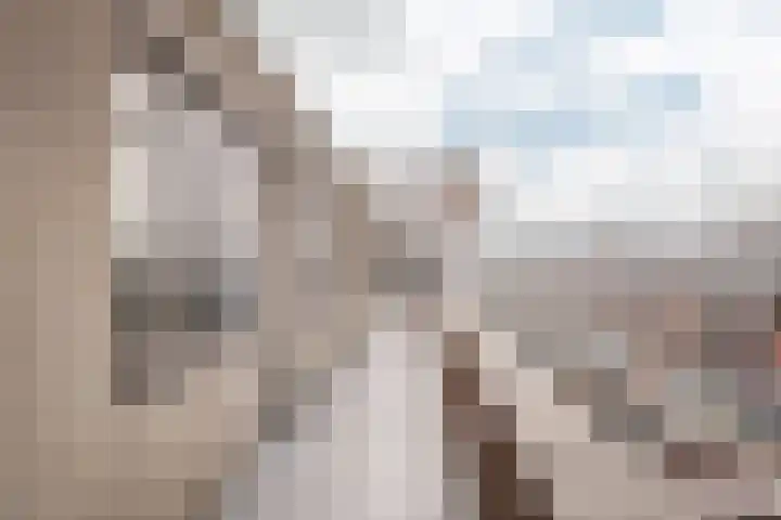 Charta 77-Vaart 164 Haarlem thumbnail 8