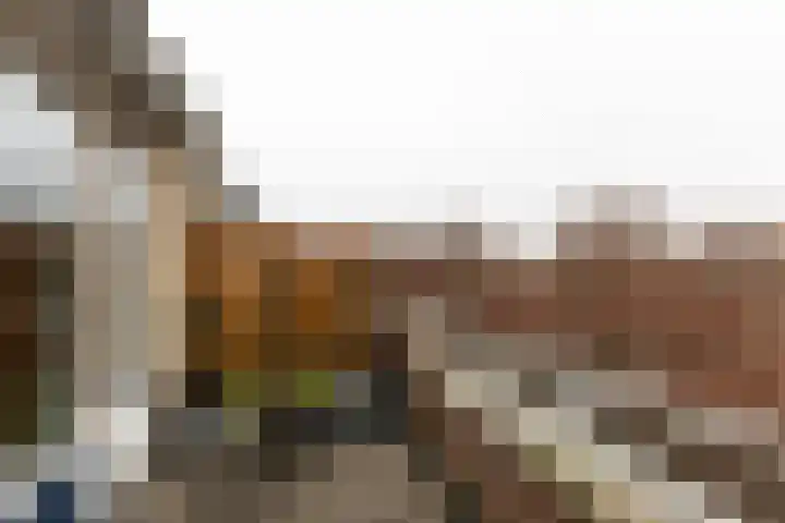 Charta 77-Vaart 176 Haarlem thumbnail 22