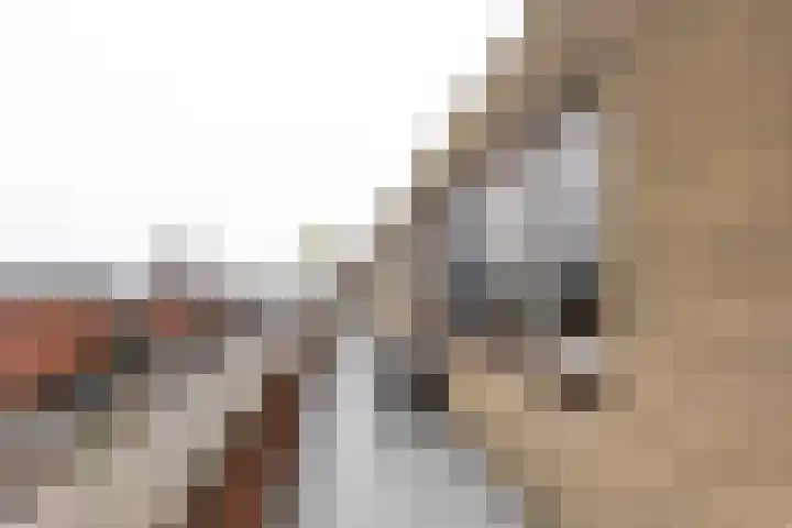 Charta 77-Vaart 176 Haarlem thumbnail 31