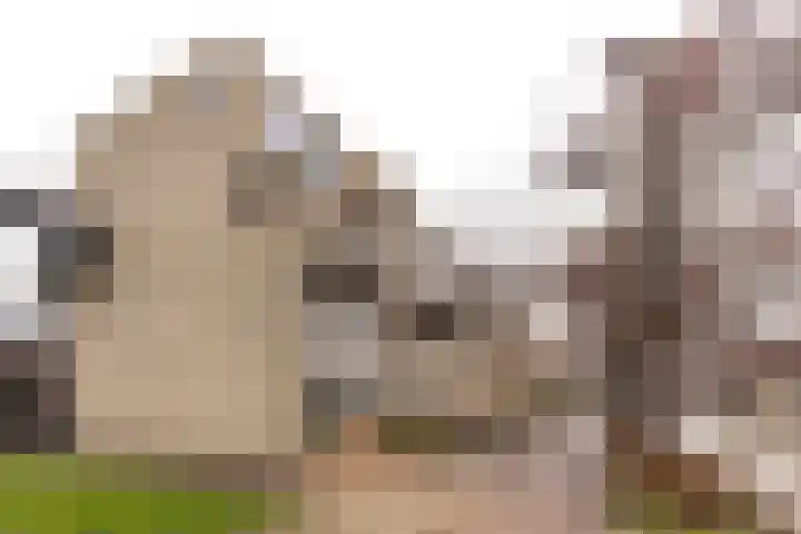 Charta 77-Vaart 176 Haarlem thumbnail 34