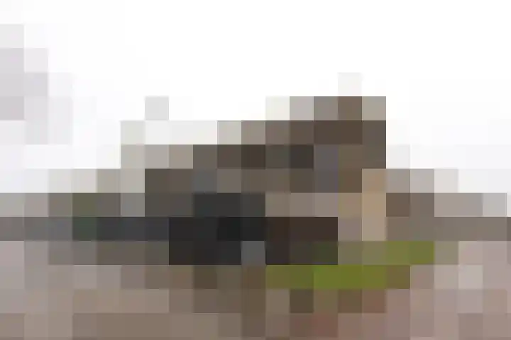 Charta 77-Vaart 176 Haarlem thumbnail 35