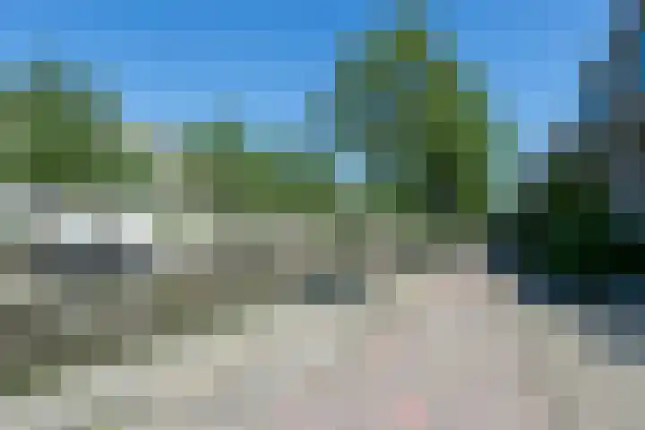 Charta 77-Vaart 176 Haarlem thumbnail 6
