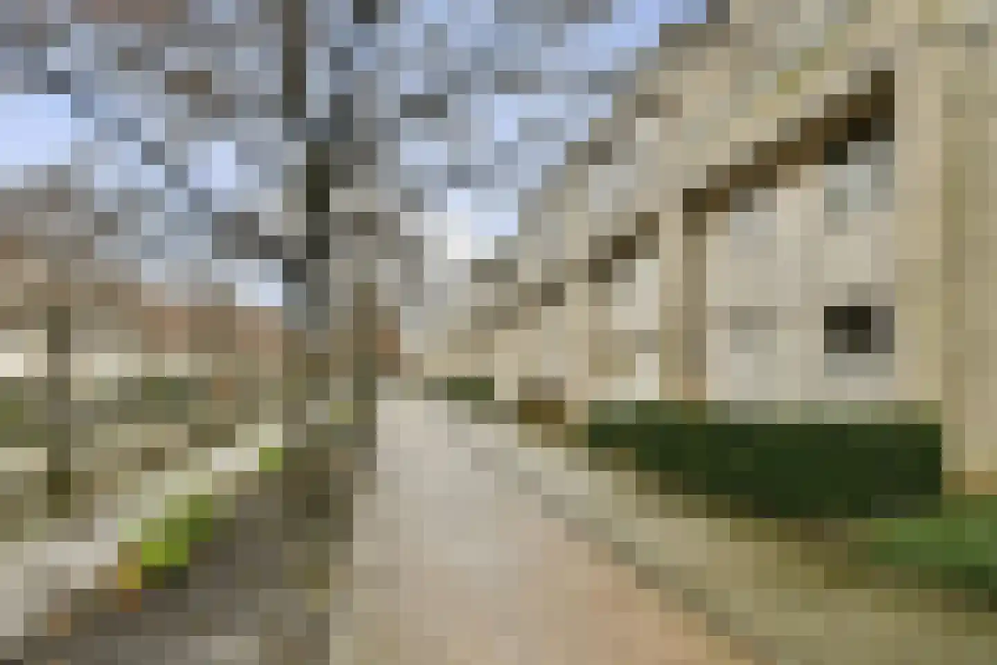 Charta 77-Vaart 31 Haarlem thumbnail 25