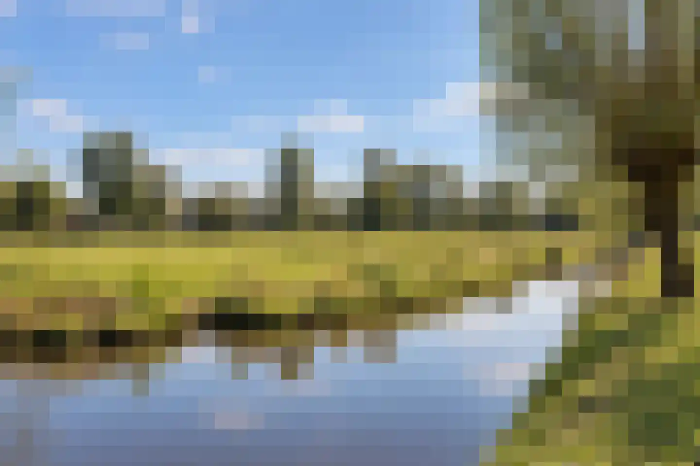 Charta 77-Vaart 45 Haarlem thumbnail 31