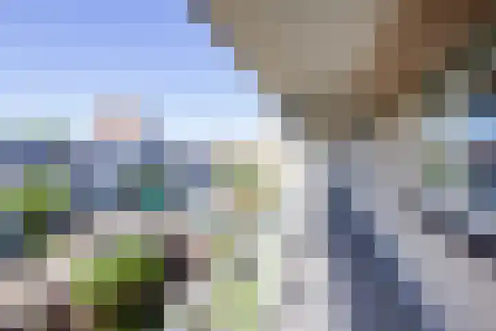 Charta 77-Vaart 54 Haarlem thumbnail 31