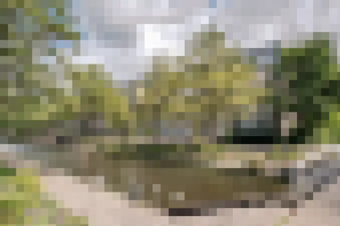 Charta 77-Vaart 57 Haarlem thumbnail 35