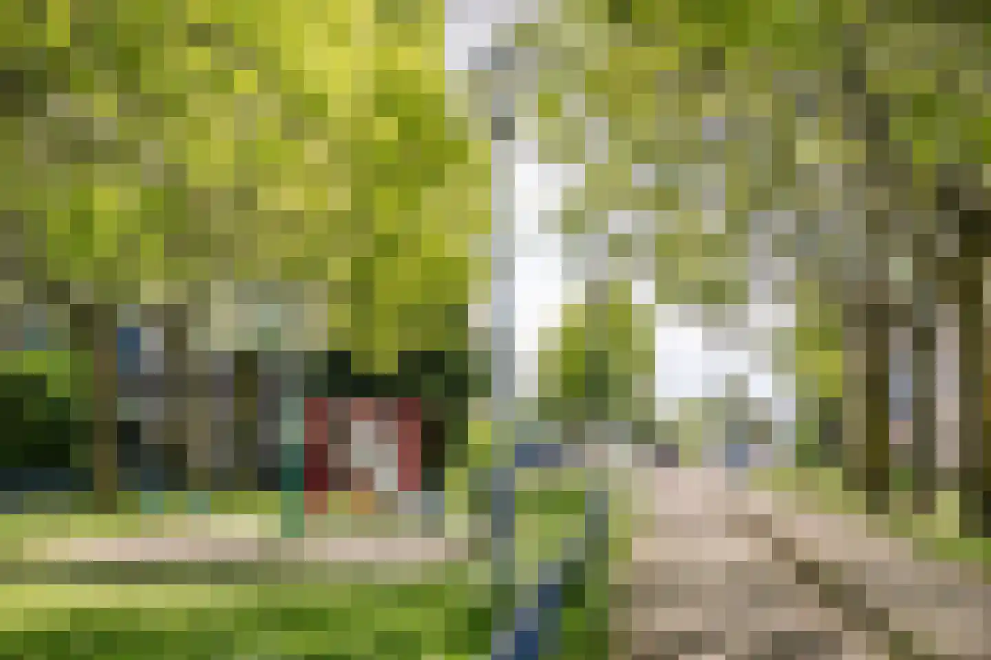 Charta 77-Vaart 57 Haarlem thumbnail 38