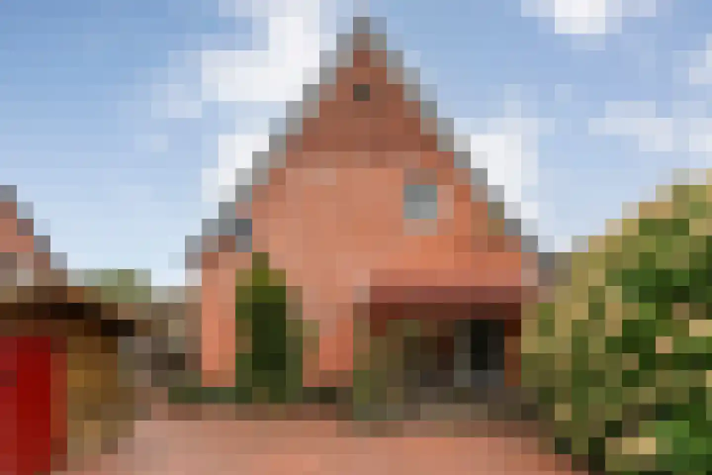 Charta 77-Vaart 77 Haarlem thumbnail 41