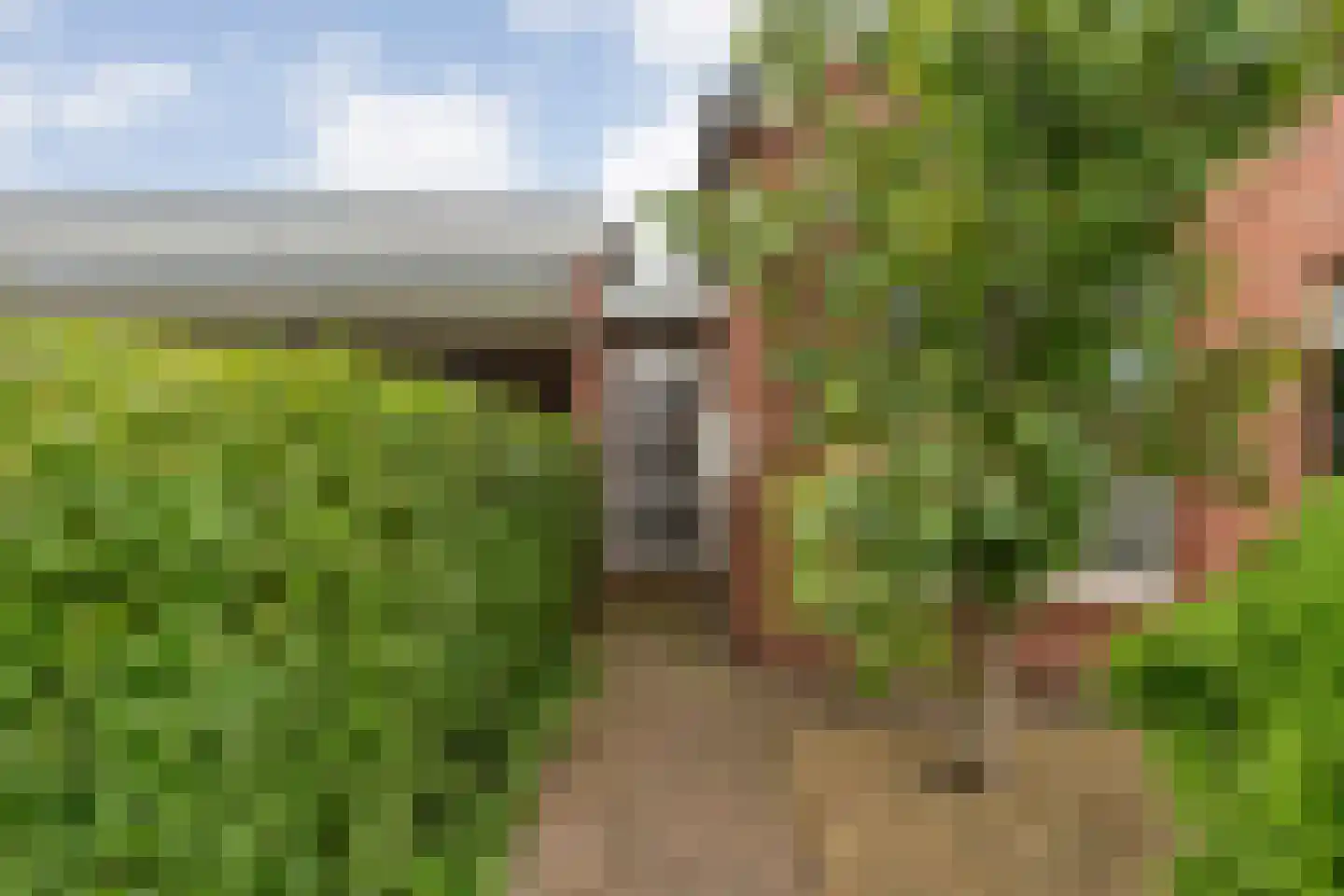 Charta 77-Vaart 77 Haarlem thumbnail 8