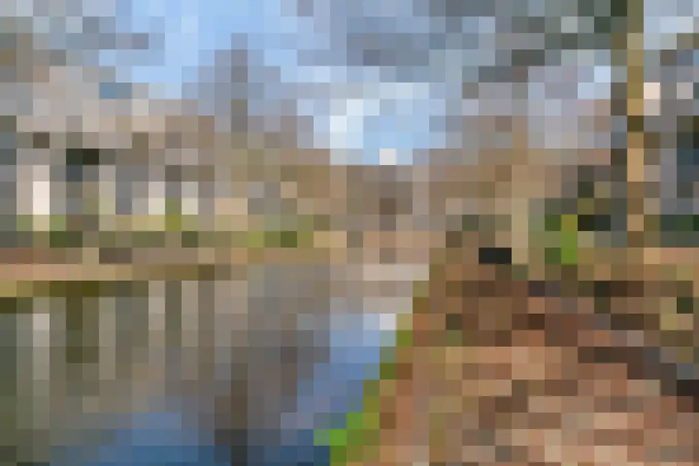 Charta 77-Vaart 9 Haarlem thumbnail 4