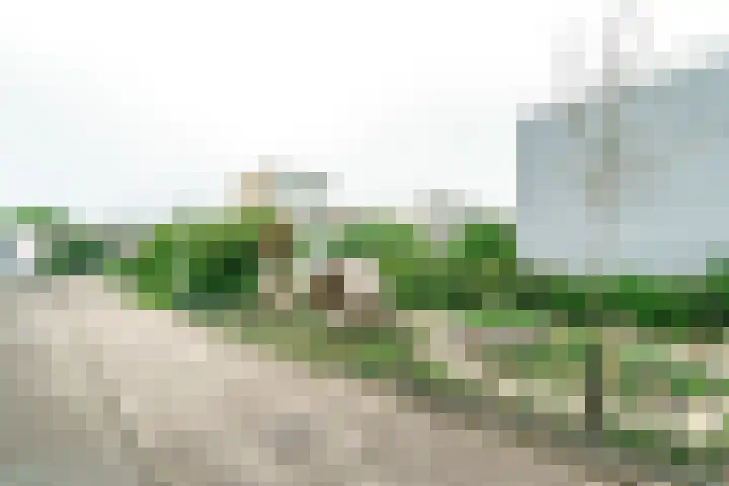 Charta 77-Vaart 99 Haarlem thumbnail 5