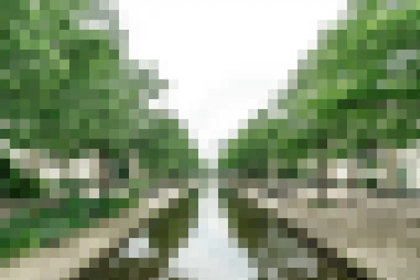 Charta 77-Vaart 99 Haarlem thumbnail 5