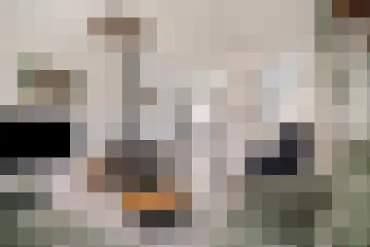 Chartreslaan 18 Eindhoven thumbnail 10