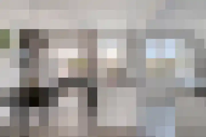 Chartreslaan 18 Eindhoven thumbnail 11