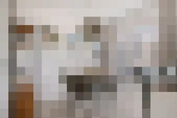 Chartreslaan 18 Eindhoven thumbnail 12