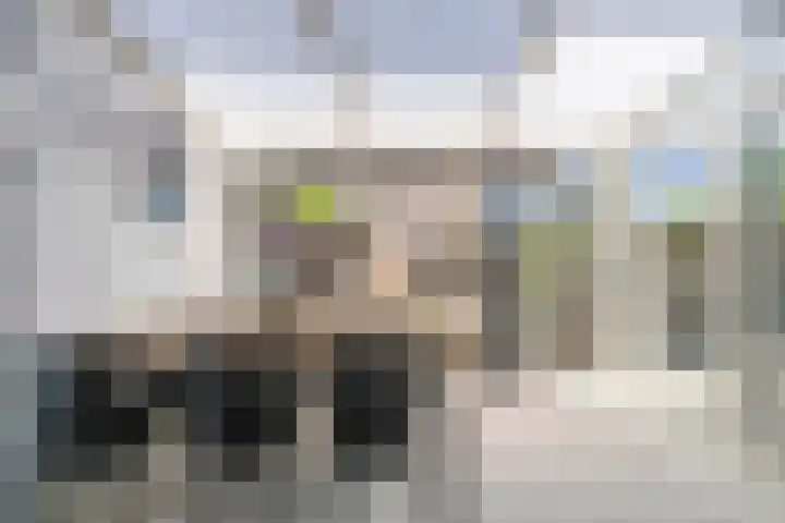 Chartreslaan 18 Eindhoven thumbnail 14
