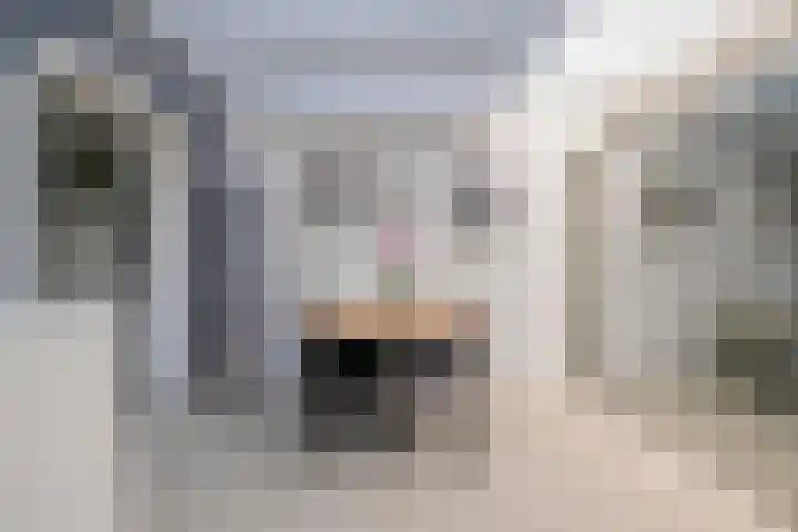 Chartreslaan 18 Eindhoven thumbnail 15