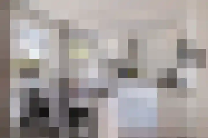 Chartreslaan 18 Eindhoven thumbnail 16