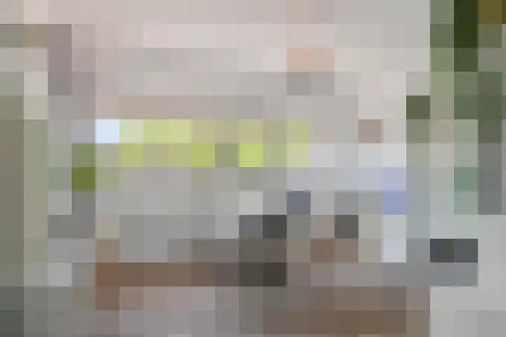 Chartreslaan 18 Eindhoven thumbnail 21