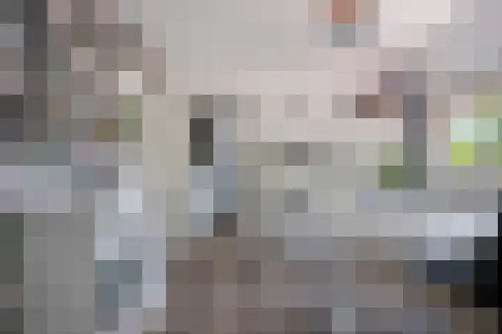 Chartreslaan 18 Eindhoven thumbnail 22