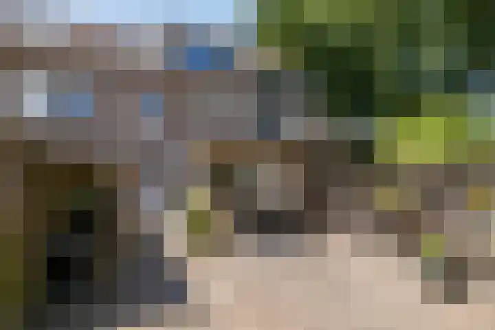 Chartreslaan 18 Eindhoven thumbnail 31