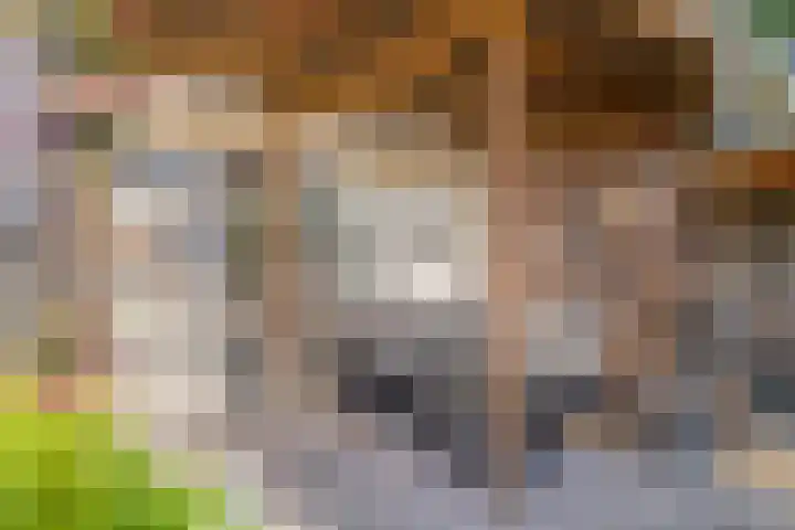 Chartreslaan 18 Eindhoven thumbnail 34