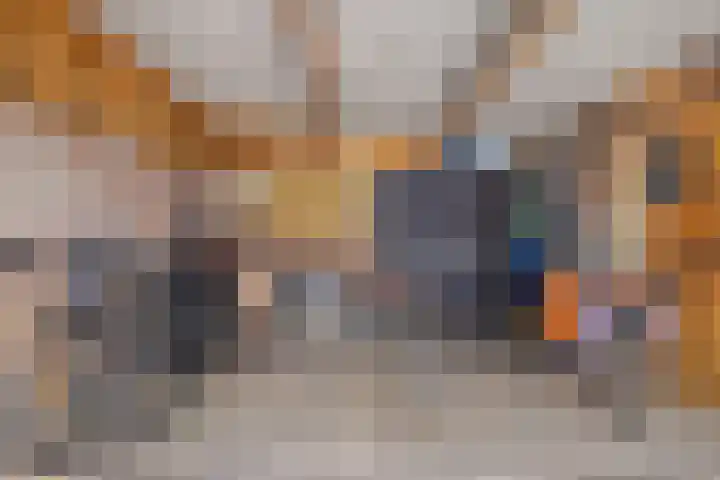 Chartreslaan 18 Eindhoven thumbnail 35