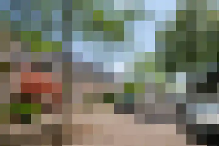 Chartreslaan 18 Eindhoven thumbnail 37