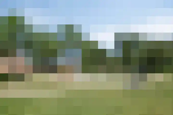 Chartreslaan 18 Eindhoven thumbnail 38