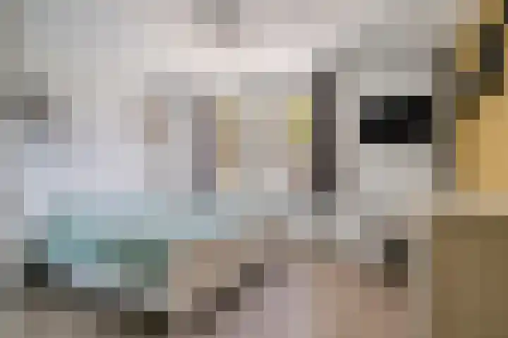 Chartreslaan 18 Eindhoven thumbnail 4