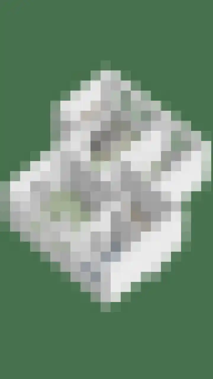 Chartreslaan 18 Eindhoven thumbnail 46