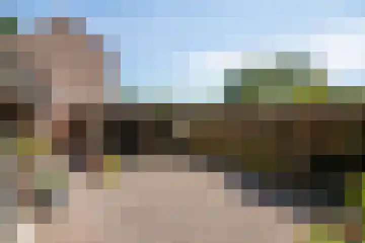 Chartreslaan 18 Eindhoven thumbnail 6