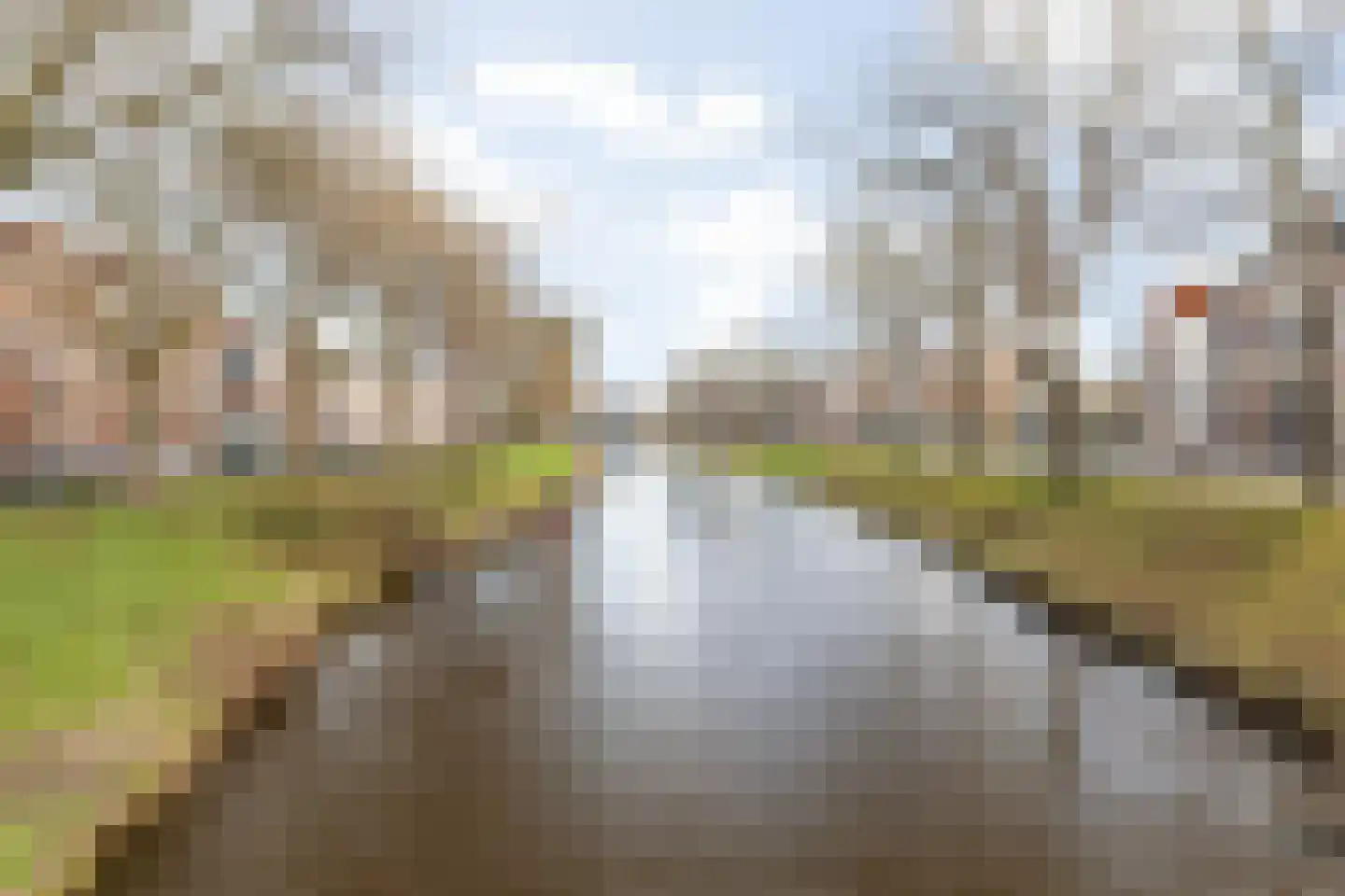 Chassésingel 1 B Breda thumbnail 45
