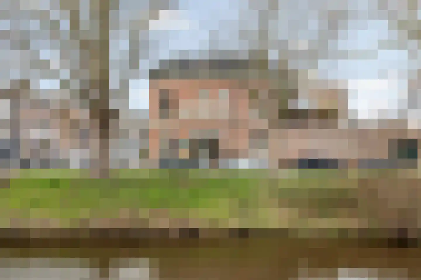 Chassésingel 1 B Breda thumbnail 7