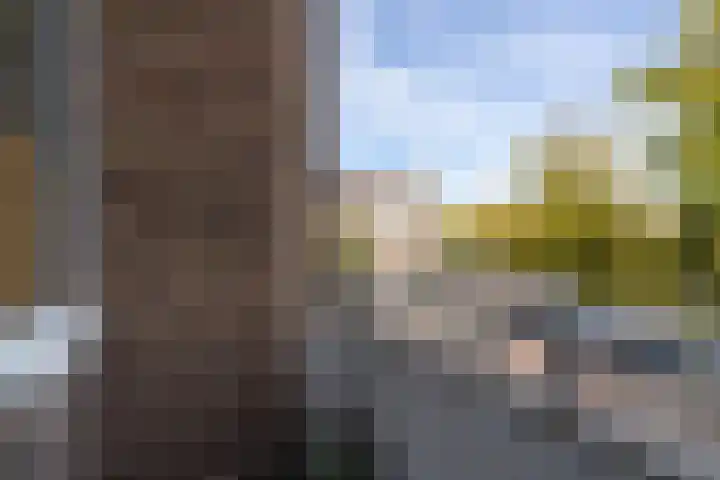 Chasséstraat 1 H Amsterdam thumbnail 20